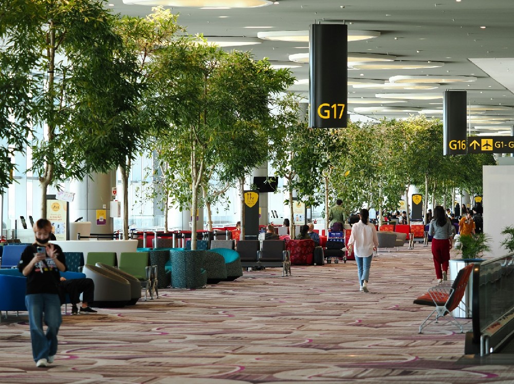 UAE Transit Visa